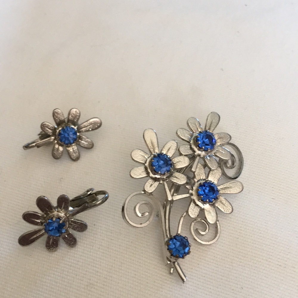 Vintage pin and clip earrings blue and silver